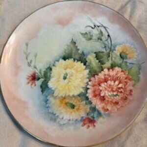 Beautiful Collectable plate